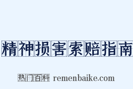 精神损害索赔指南是什么意思的图片